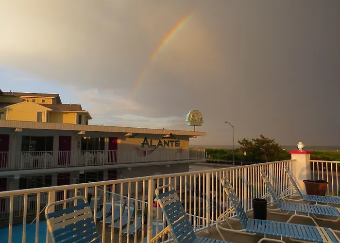 Сity center hotels Alante Oceanfront Motor